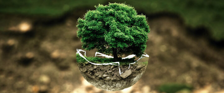 Circular Economy